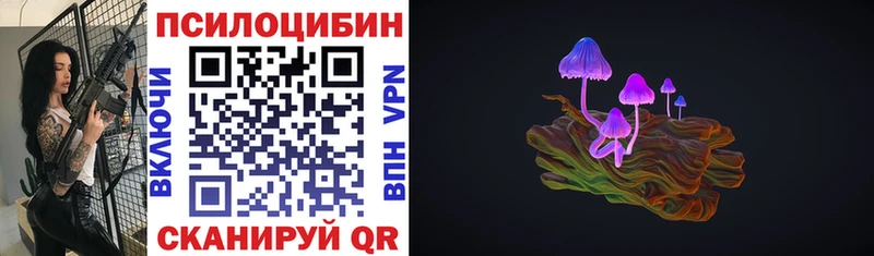 Галлюциногенные грибы Psilocybe  Лодейное Поле 